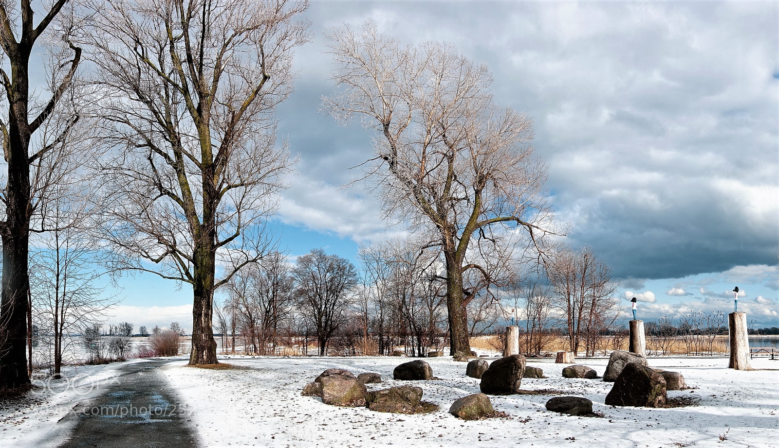 Sony Cyber-shot DSC-RX100 III sample photo. After the freezing rain photography