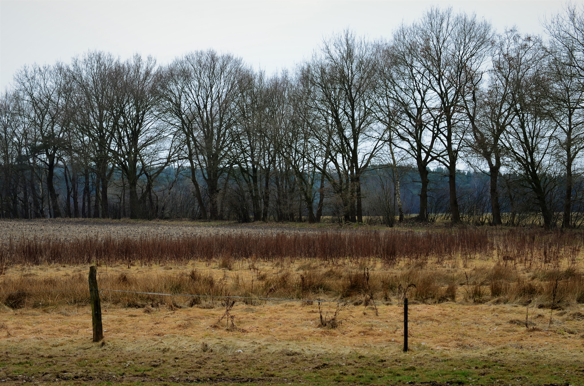 Nikon D5100 sample photo. Segments photography