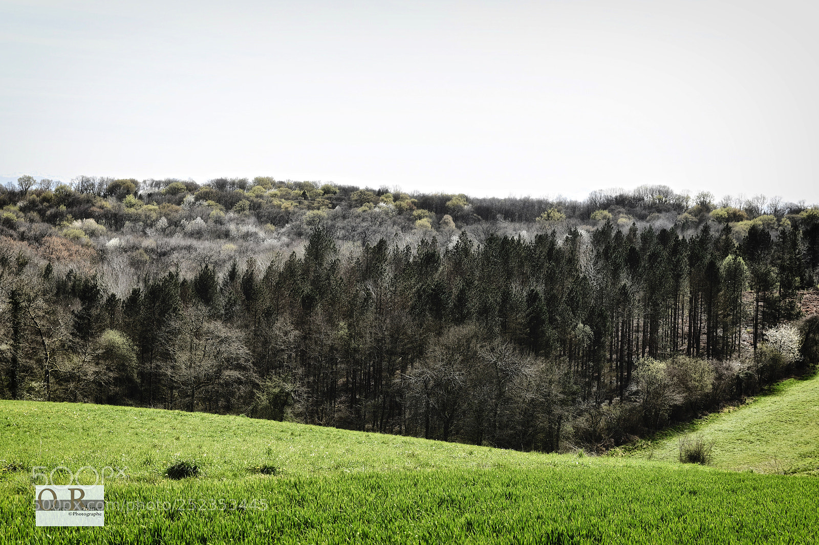Nikon D850 sample photo. B arn des gaves photography