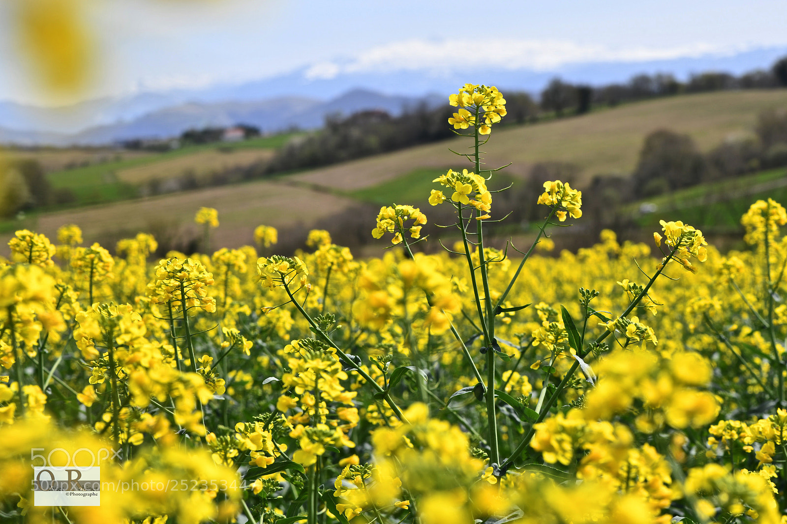 Nikon D850 sample photo. B arn des gaves photography