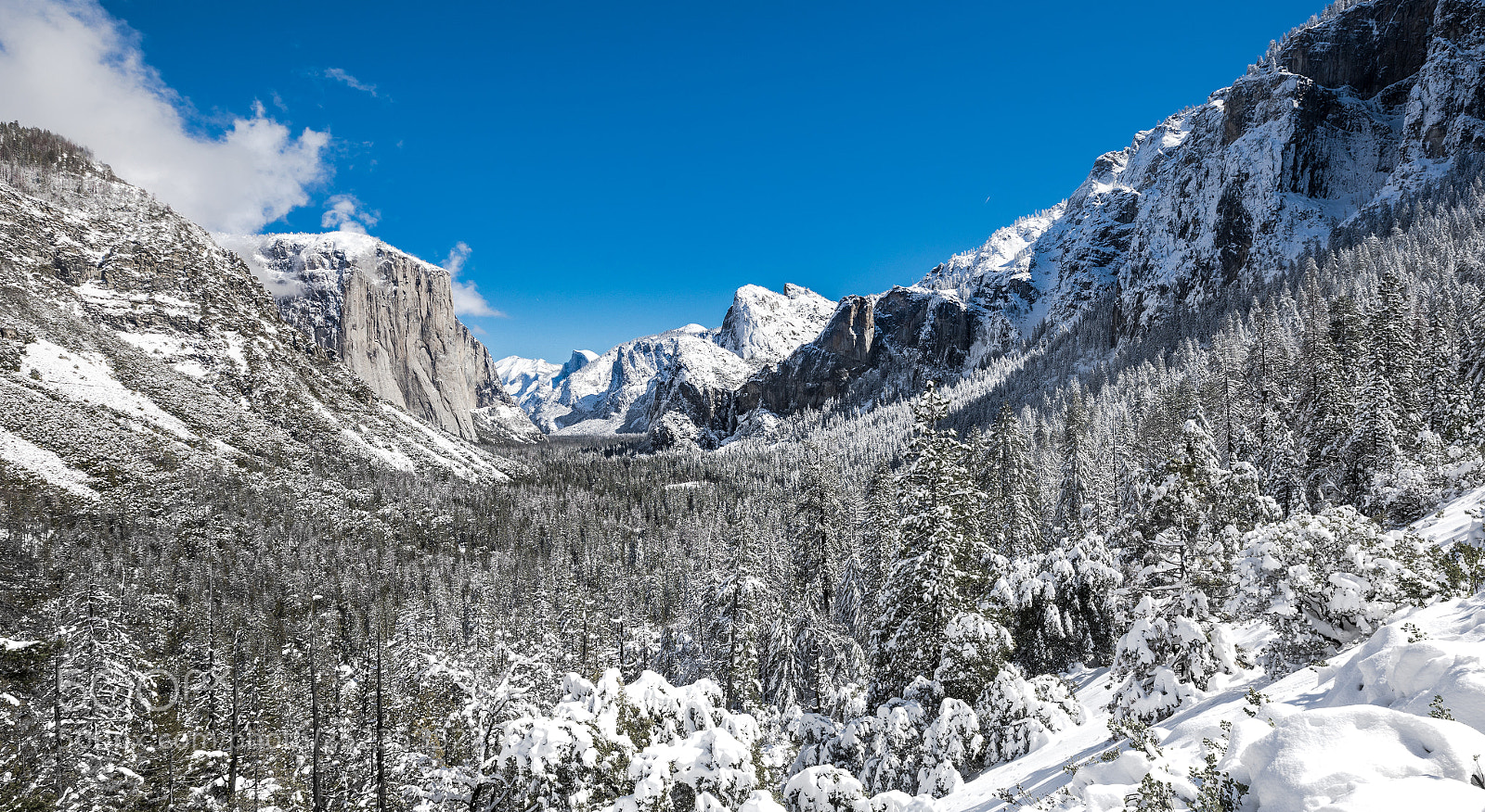 Canon EOS 5D Mark IV sample photo. Yosemite snow photography