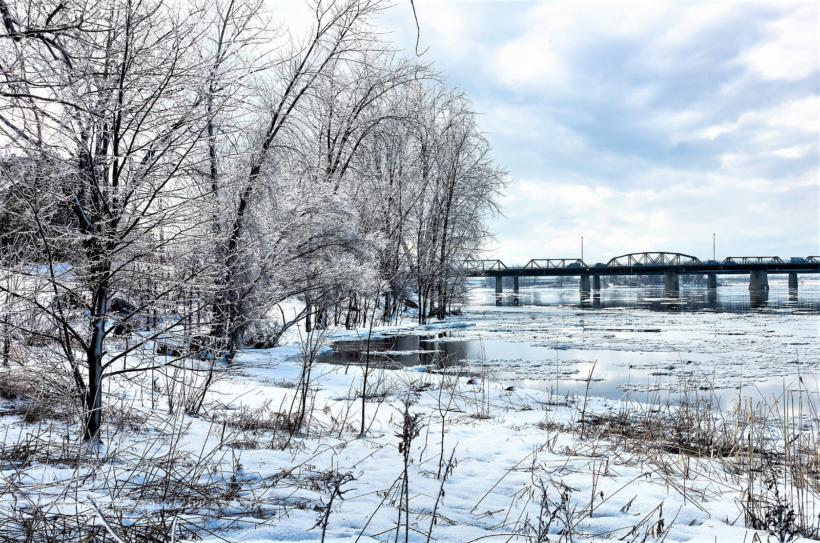 Sony Cyber-shot DSC-RX100 III sample photo. After the freezing rain photography
