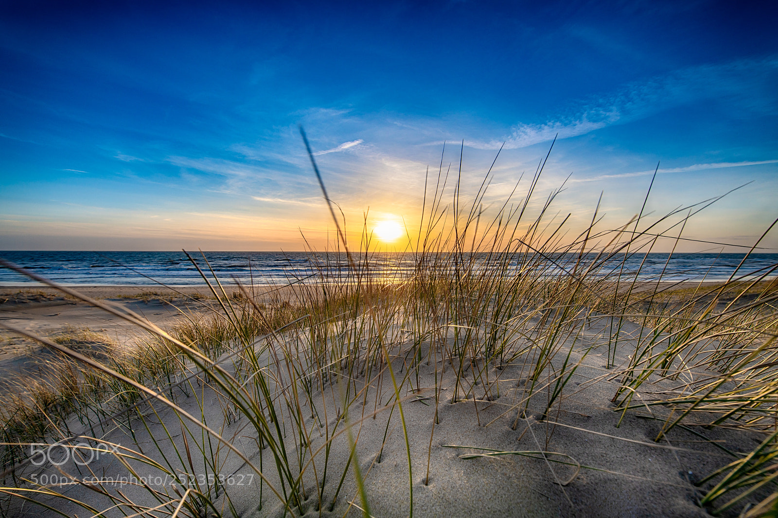 Nikon D850 sample photo. Dune view photography