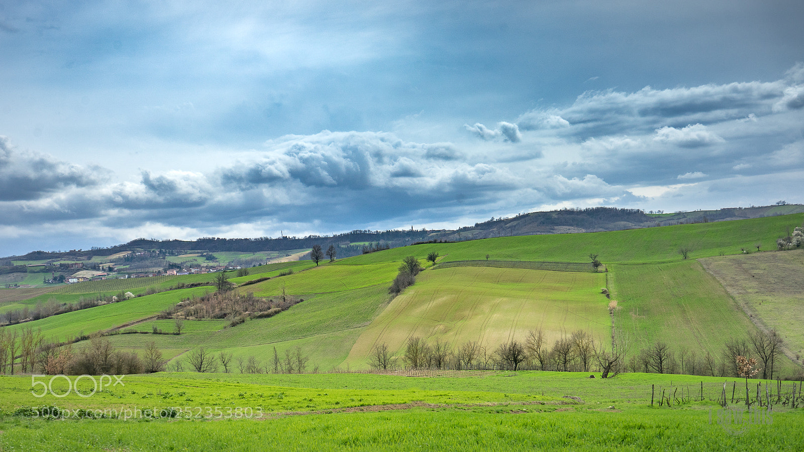 Sony a7 II sample photo. Green time photography