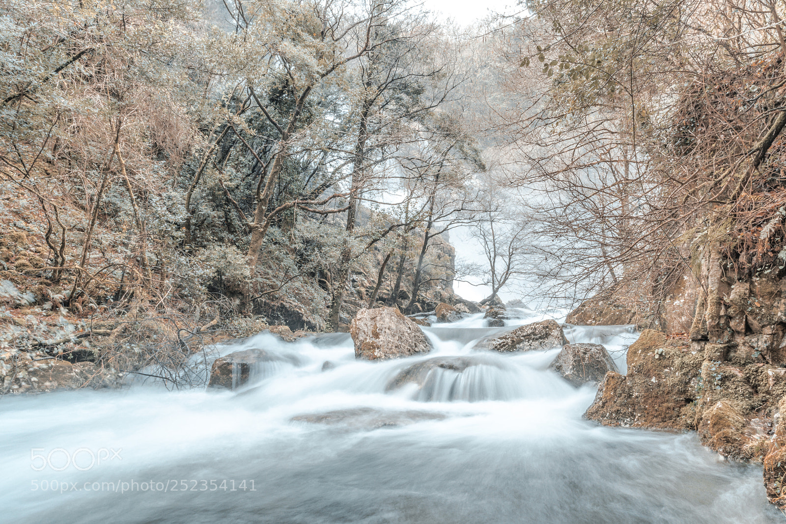 Nikon D7100 sample photo. Rio belelle photography