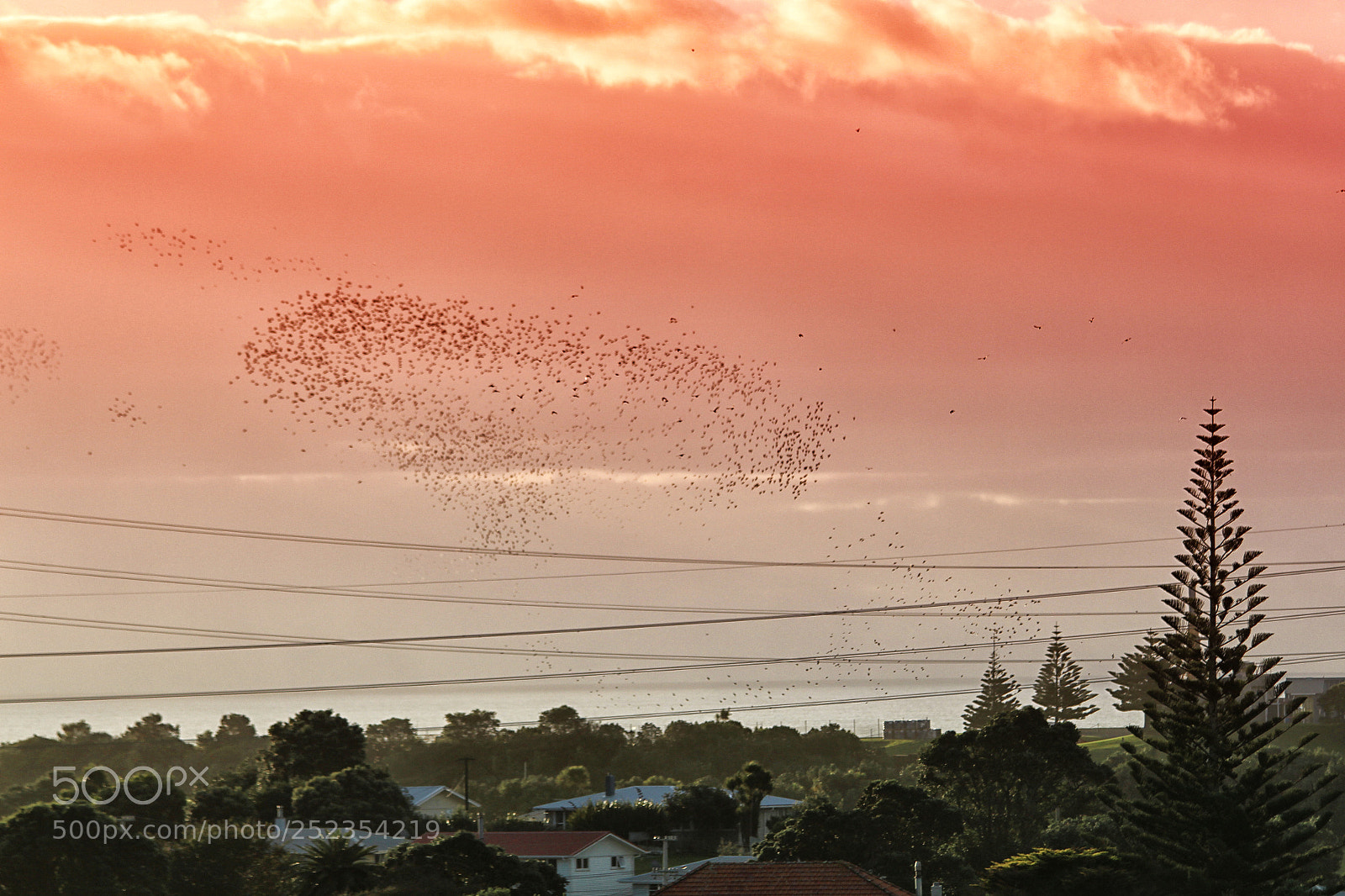 Canon EOS 700D (EOS Rebel T5i / EOS Kiss X7i) sample photo. Birds in a love photography