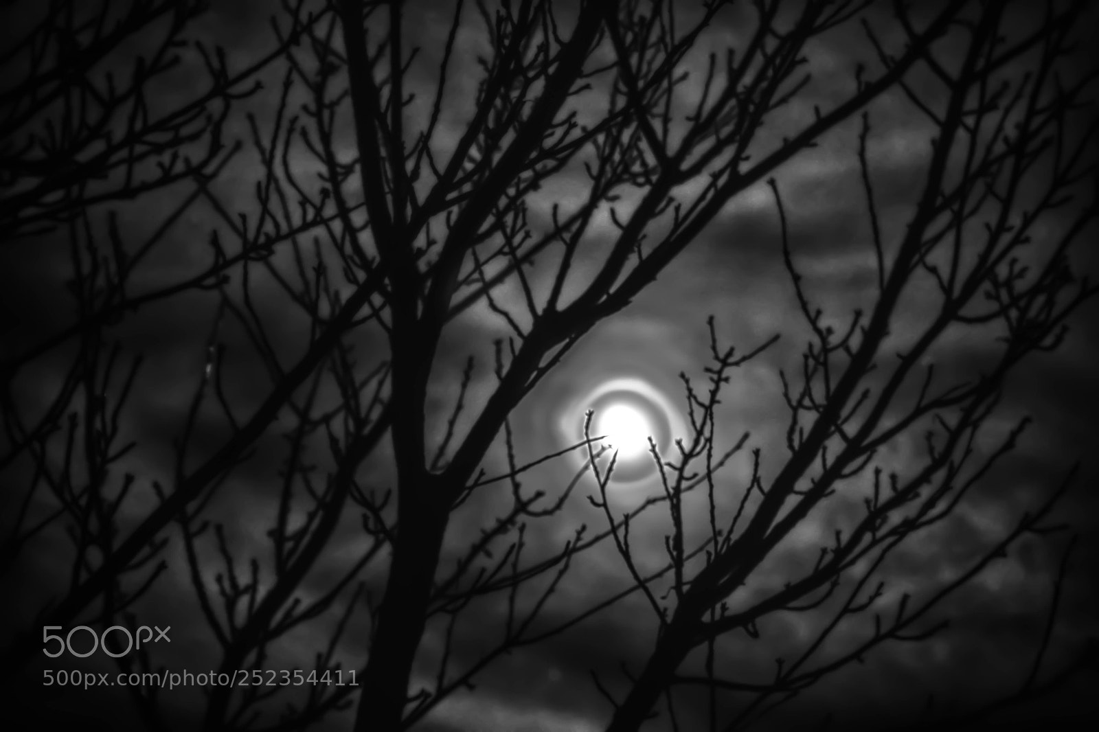 Nikon D5500 sample photo. Moontaste photography