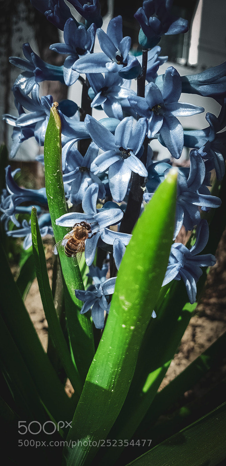 Samsung Galaxy S9+ sample photo. Untitled photography