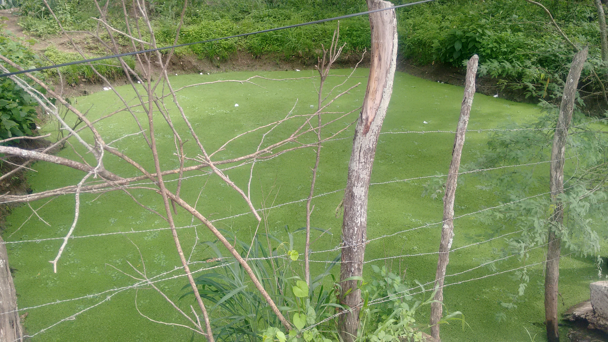 Motorola Moto G (2nd Gen) sample photo