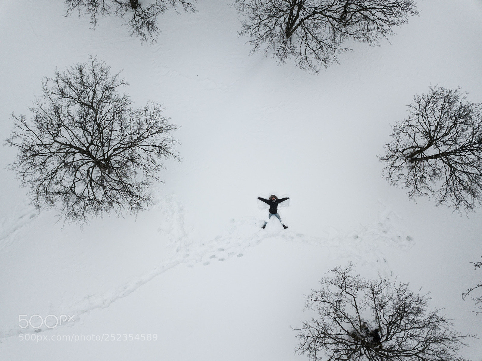 DJI FC220 sample photo. Snow photography
