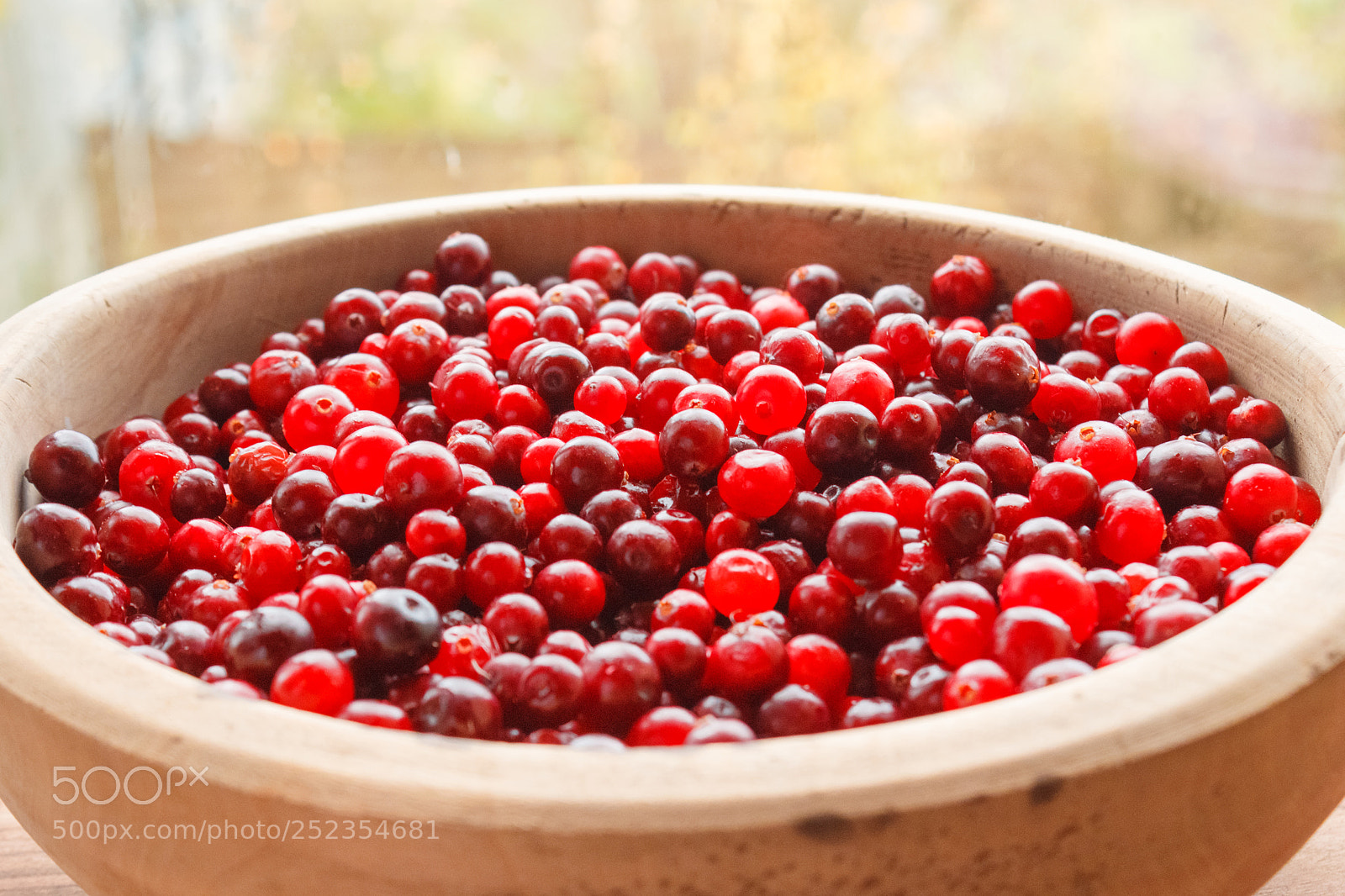 Canon EOS 650D (EOS Rebel T4i / EOS Kiss X6i) sample photo. Red berries in a photography