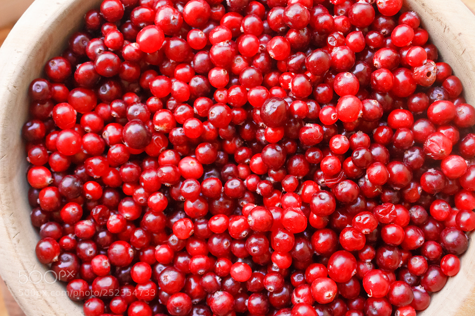 Canon EOS 650D (EOS Rebel T4i / EOS Kiss X6i) sample photo. Red berries close-up photography