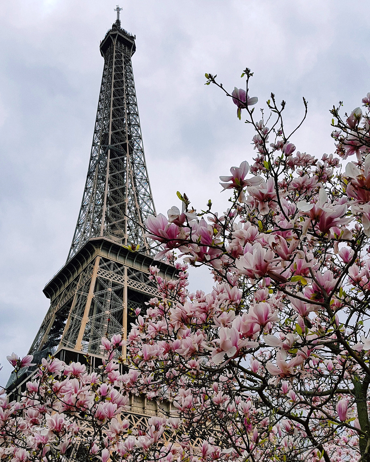 Samsung Galaxy S8+ sample photo. Printemps à paris photography