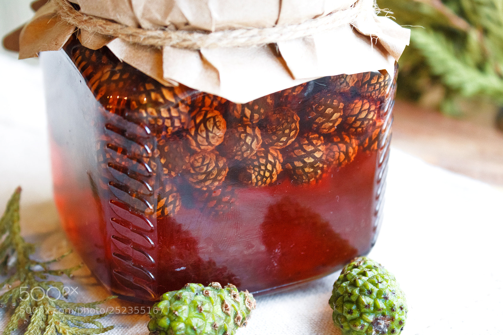 Canon EOS 650D (EOS Rebel T4i / EOS Kiss X6i) sample photo. Young pine cones jam photography