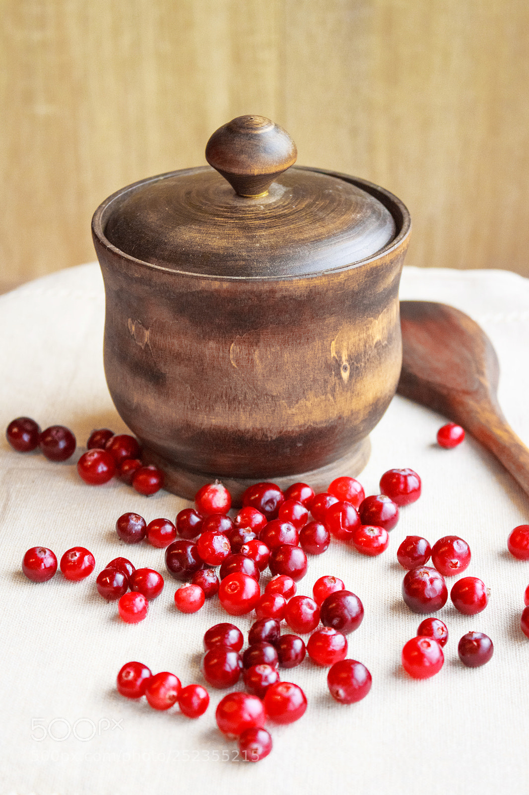 Canon EOS 650D (EOS Rebel T4i / EOS Kiss X6i) sample photo. Red berries and a photography