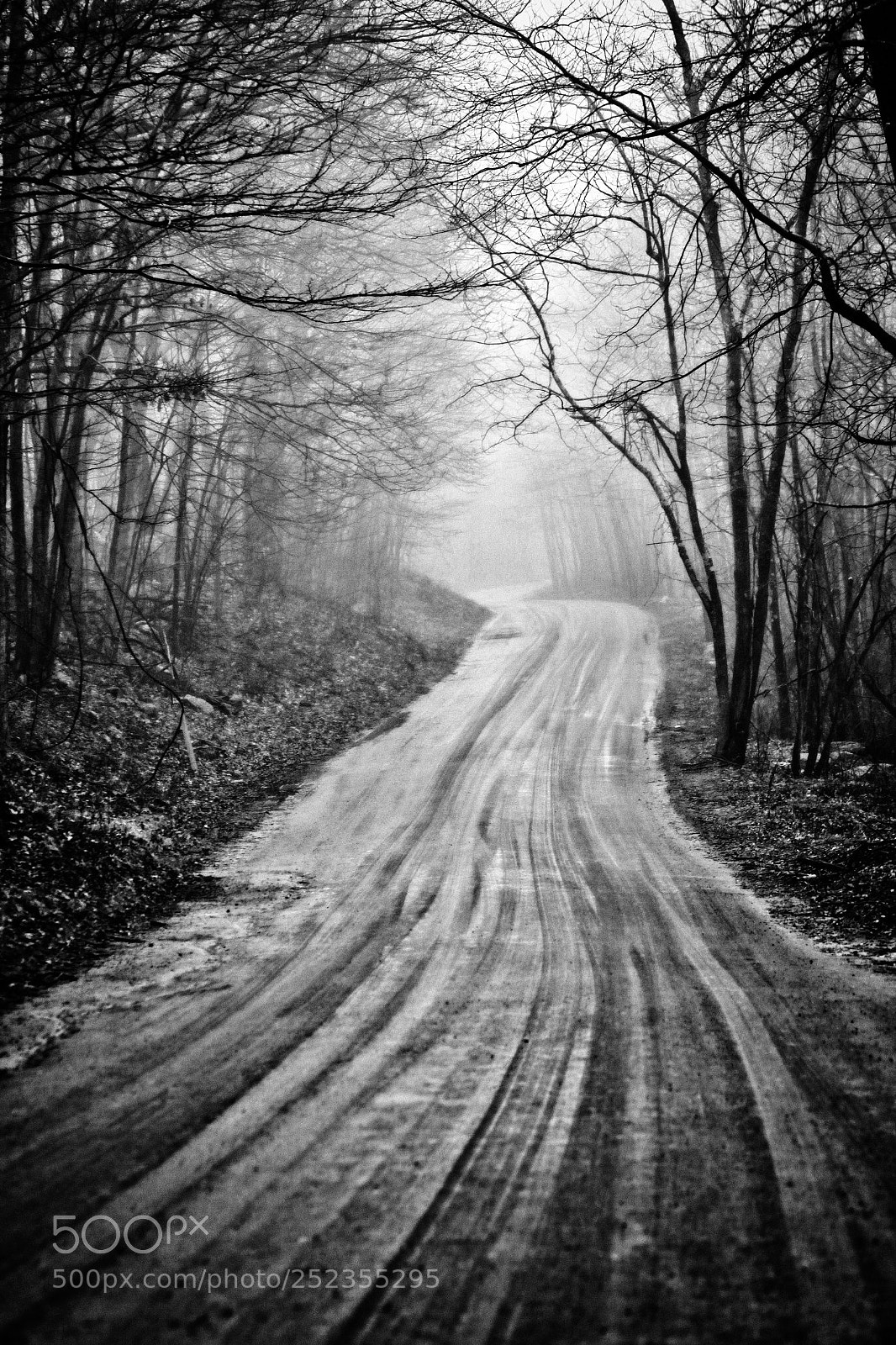 Canon EOS 5D Mark II sample photo. Winding dirt road photography