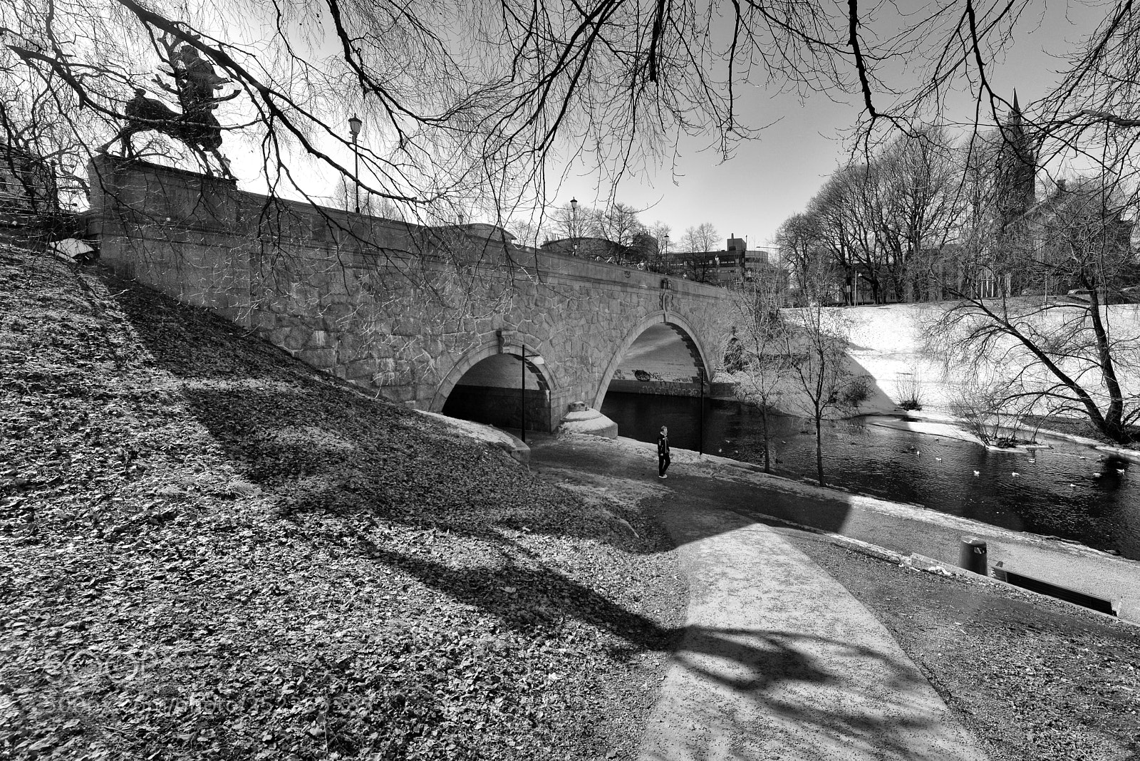 Nikon D800 sample photo. Shadow and bridge photography