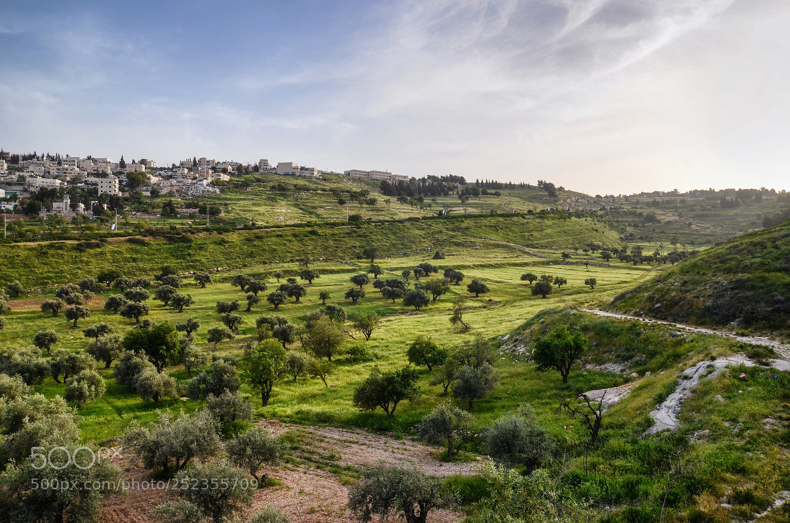 Nikon D7000 sample photo. Near the home valley photography