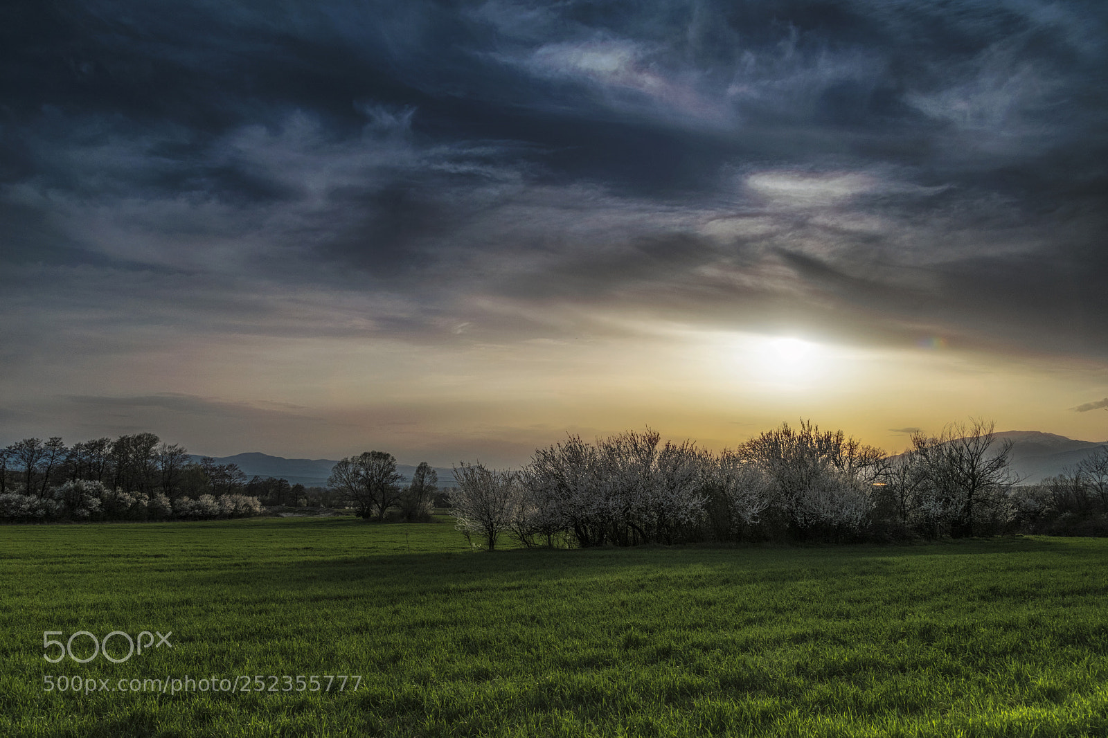 Nikon D5300 sample photo. Spring sunset photography