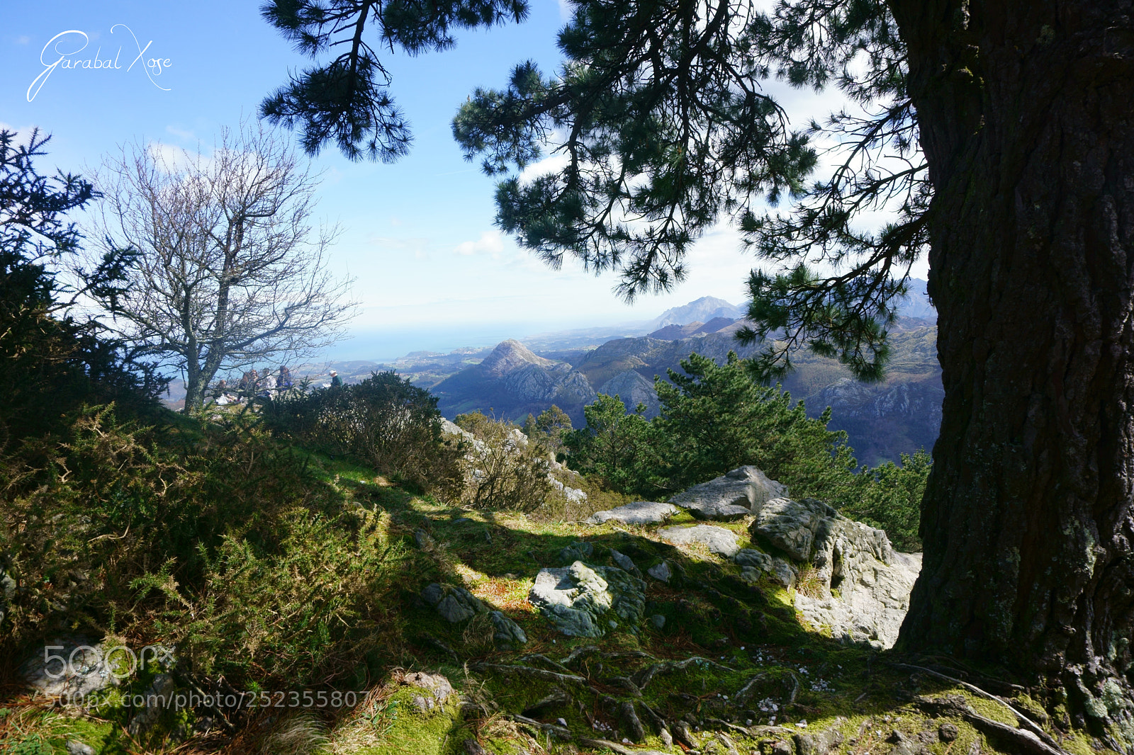 Canon EOS 5D Mark II sample photo. 33.jpg photography