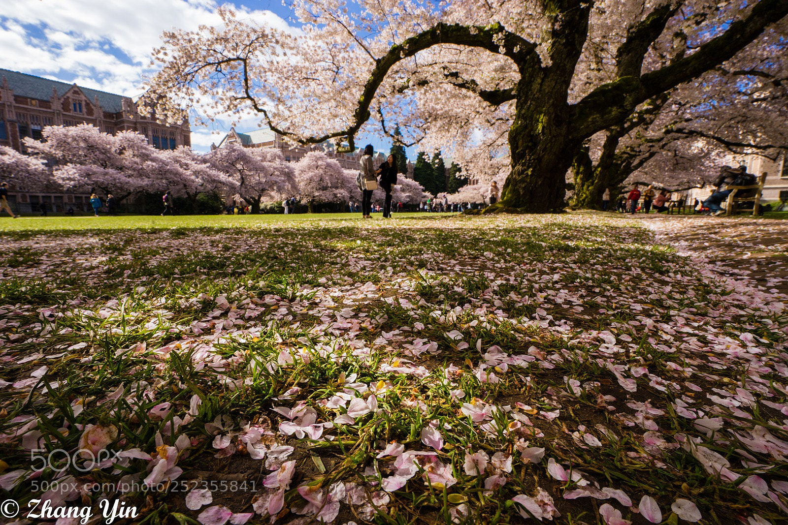 Sony a7 II sample photo. Untitled photography