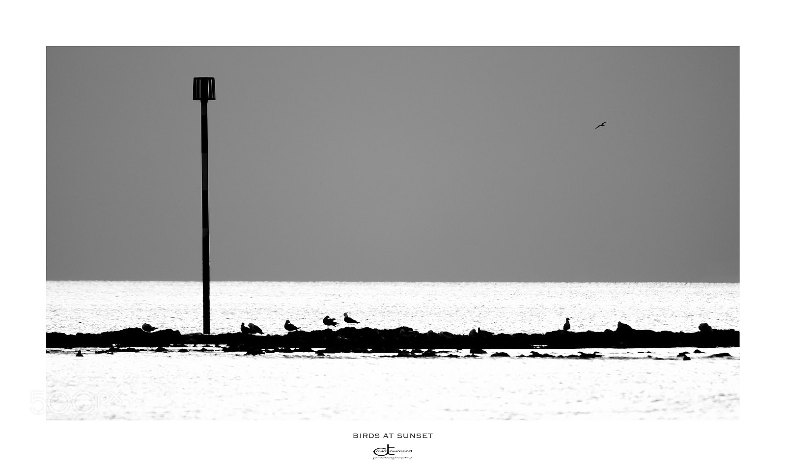 Fujifilm X-Pro2 sample photo. Birds at sunset photography