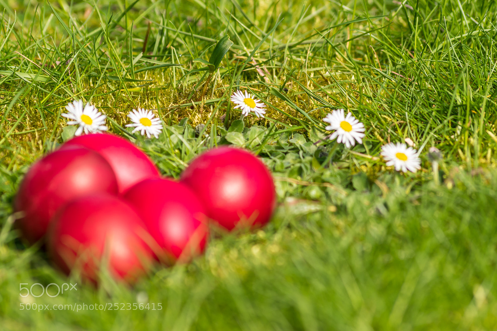 Nikon D5500 sample photo. Red easter eggs photography