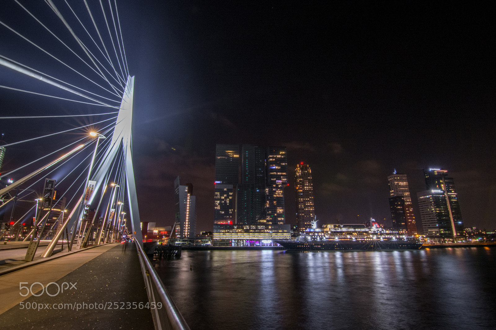 Nikon D5200 sample photo. Rotterdam skyline & bridge  photography