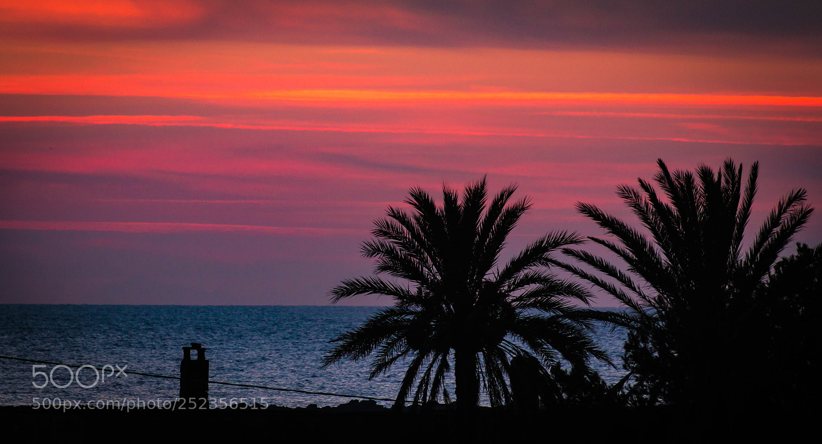 Canon EOS 70D sample photo. Palm trees at sunset photography