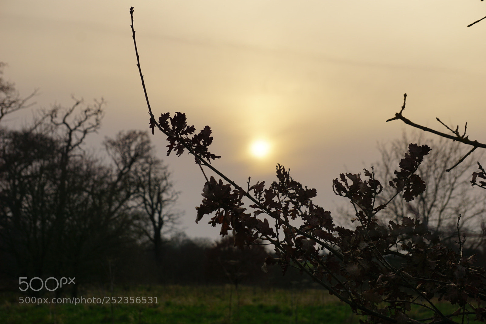 Sony a6000 sample photo. Sunset photography