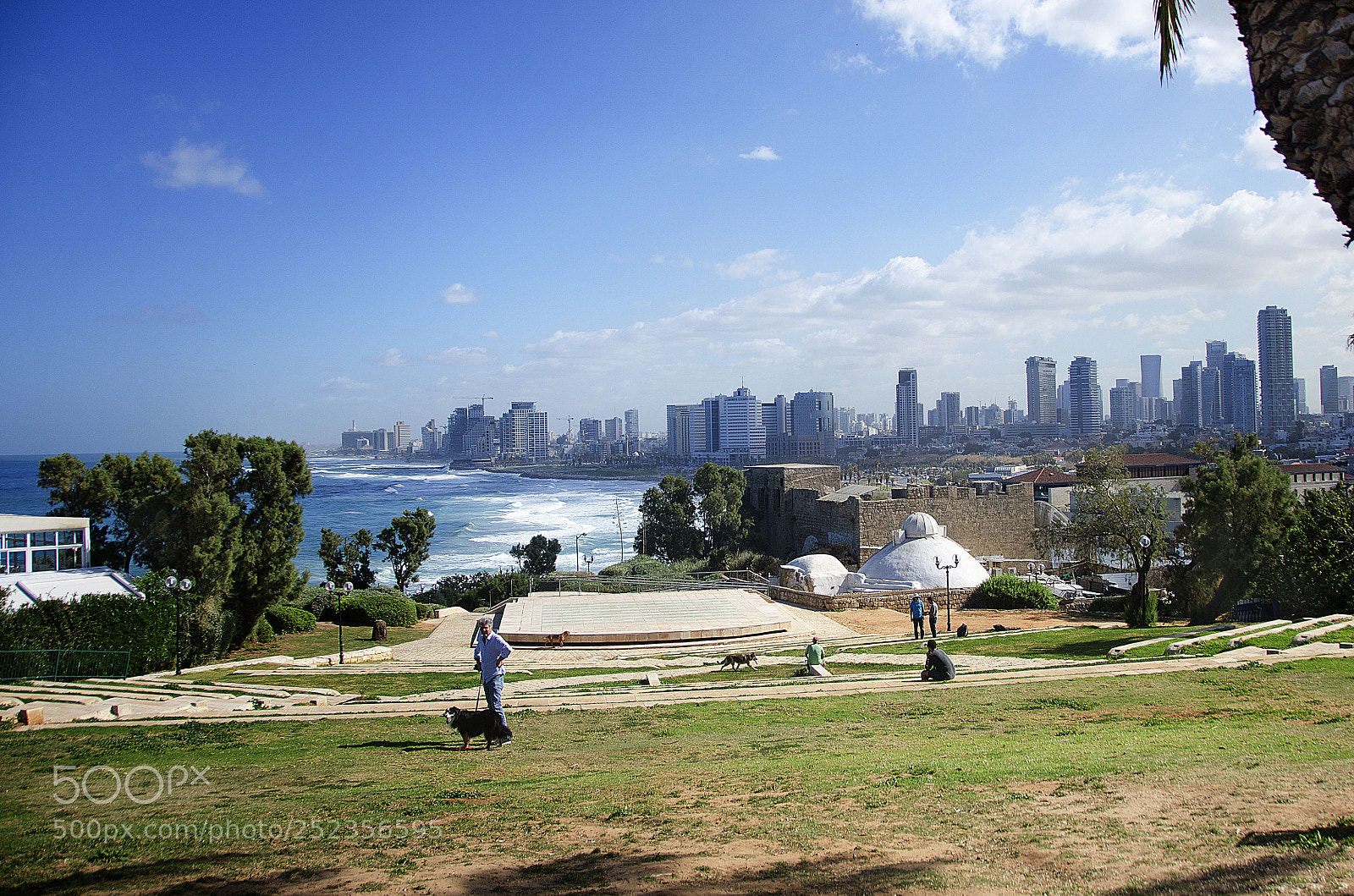 Nikon D7000 sample photo. Tel aviv photography