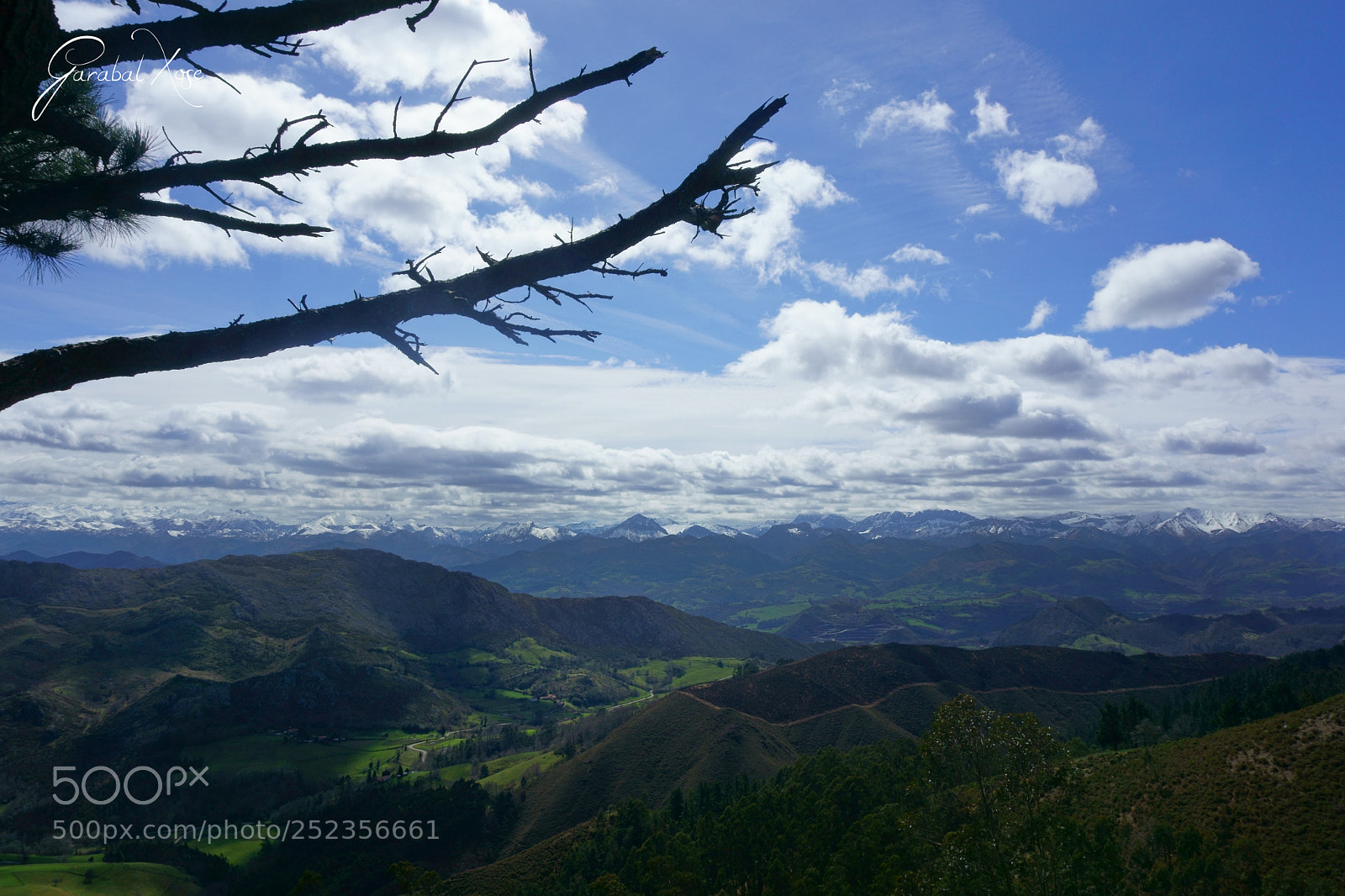 Canon EOS 5D Mark II sample photo. 35.jpg photography