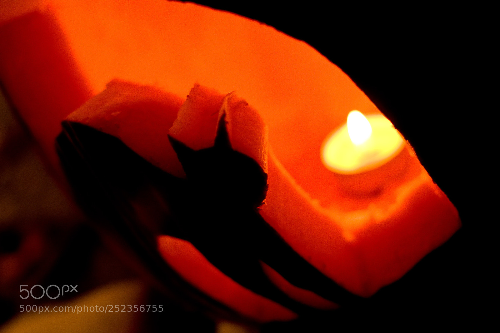 Canon EOS 40D sample photo. Black cat photography