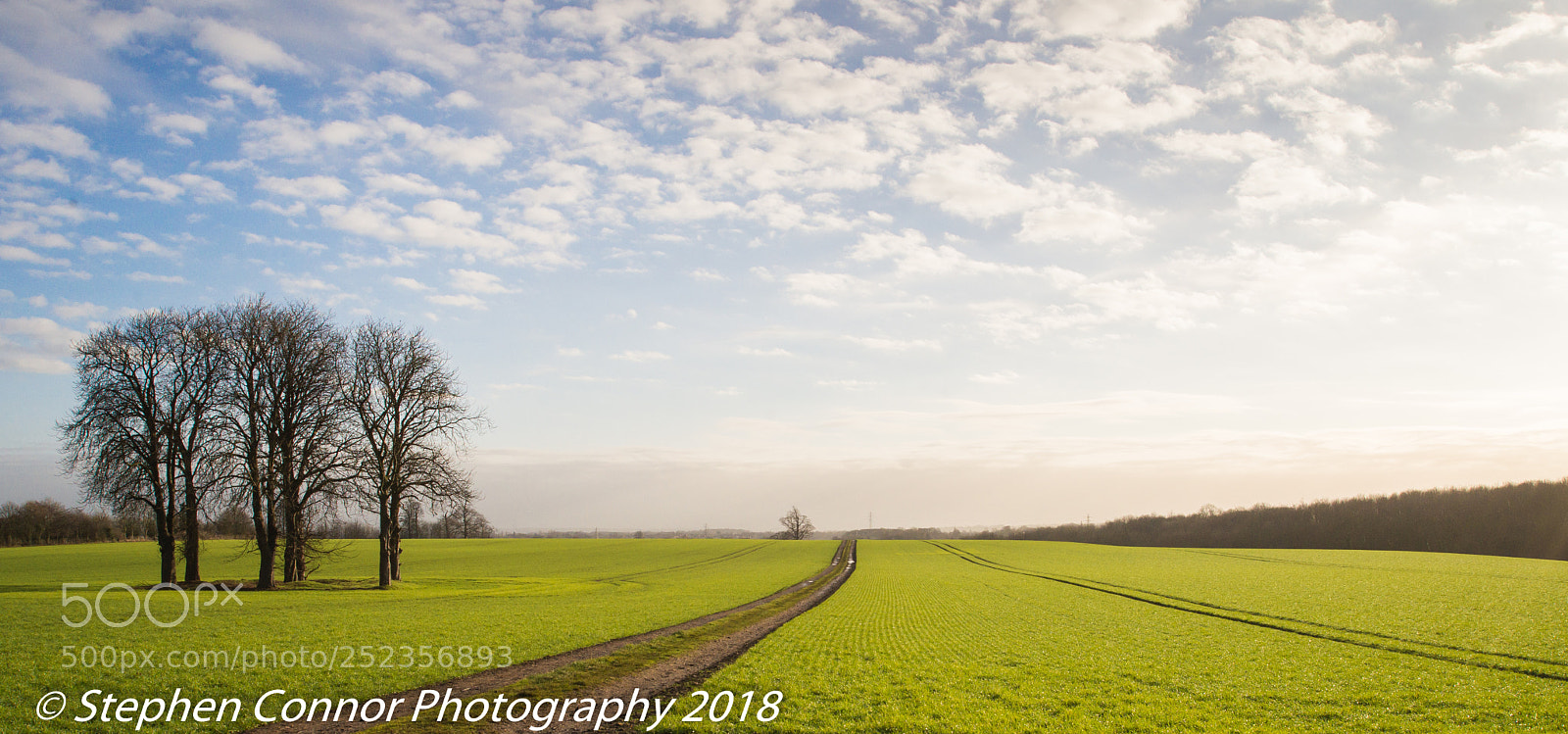 Nikon D600 sample photo. Landscape photography