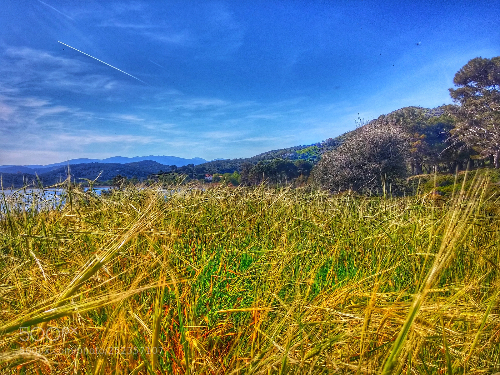 LG G3 sample photo. Sunny landscape photography