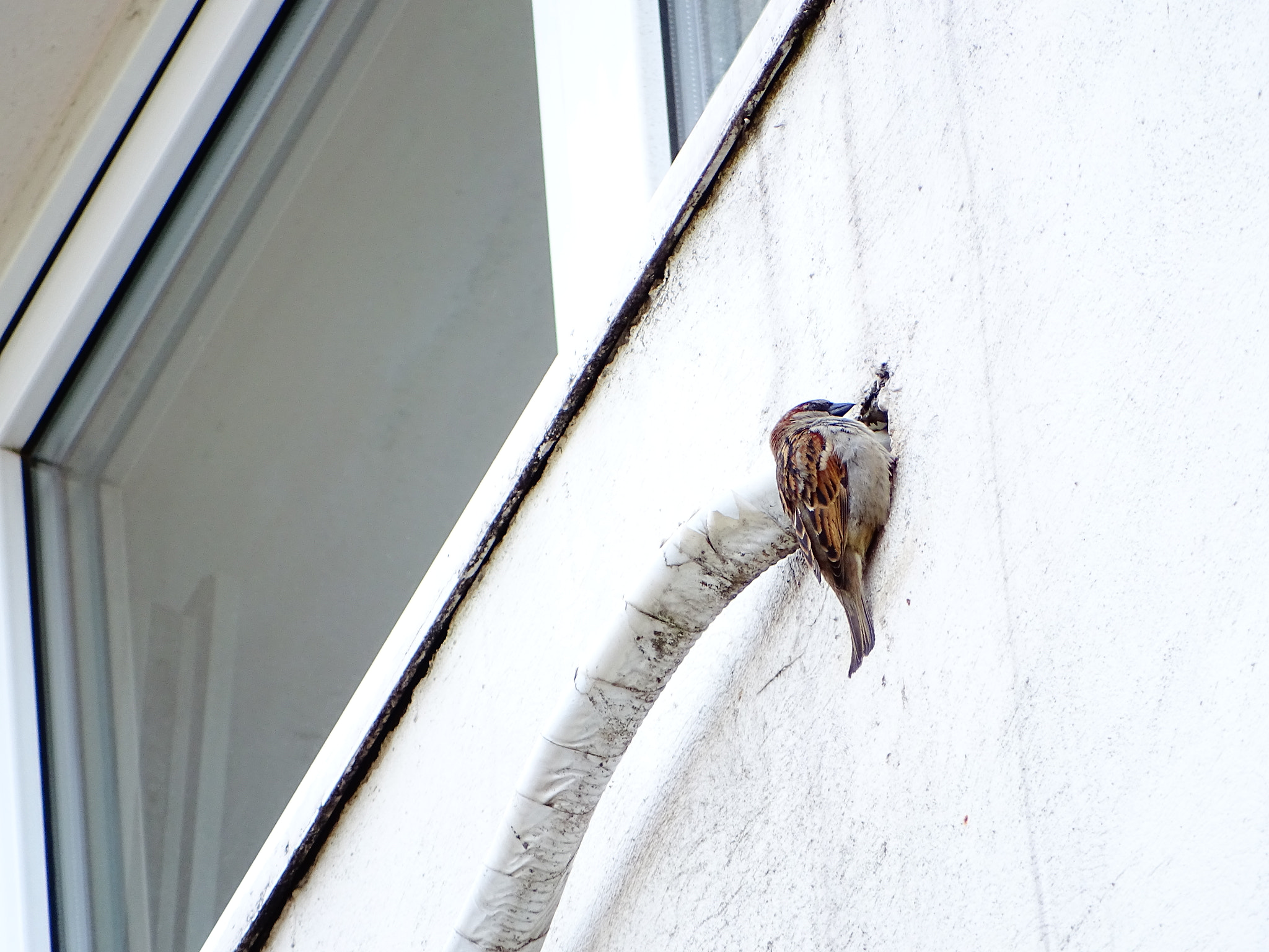 Sony Cyber-shot DSC-HX350 sample photo. Installing air conditioner photography