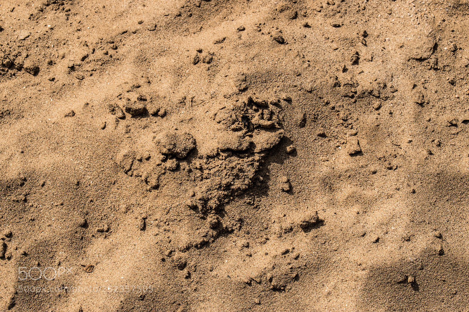 Nikon D5600 sample photo. Sand photography