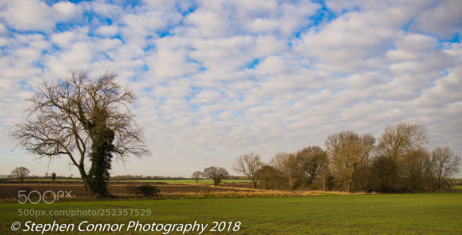 Nikon D600 sample photo. Landscape photography