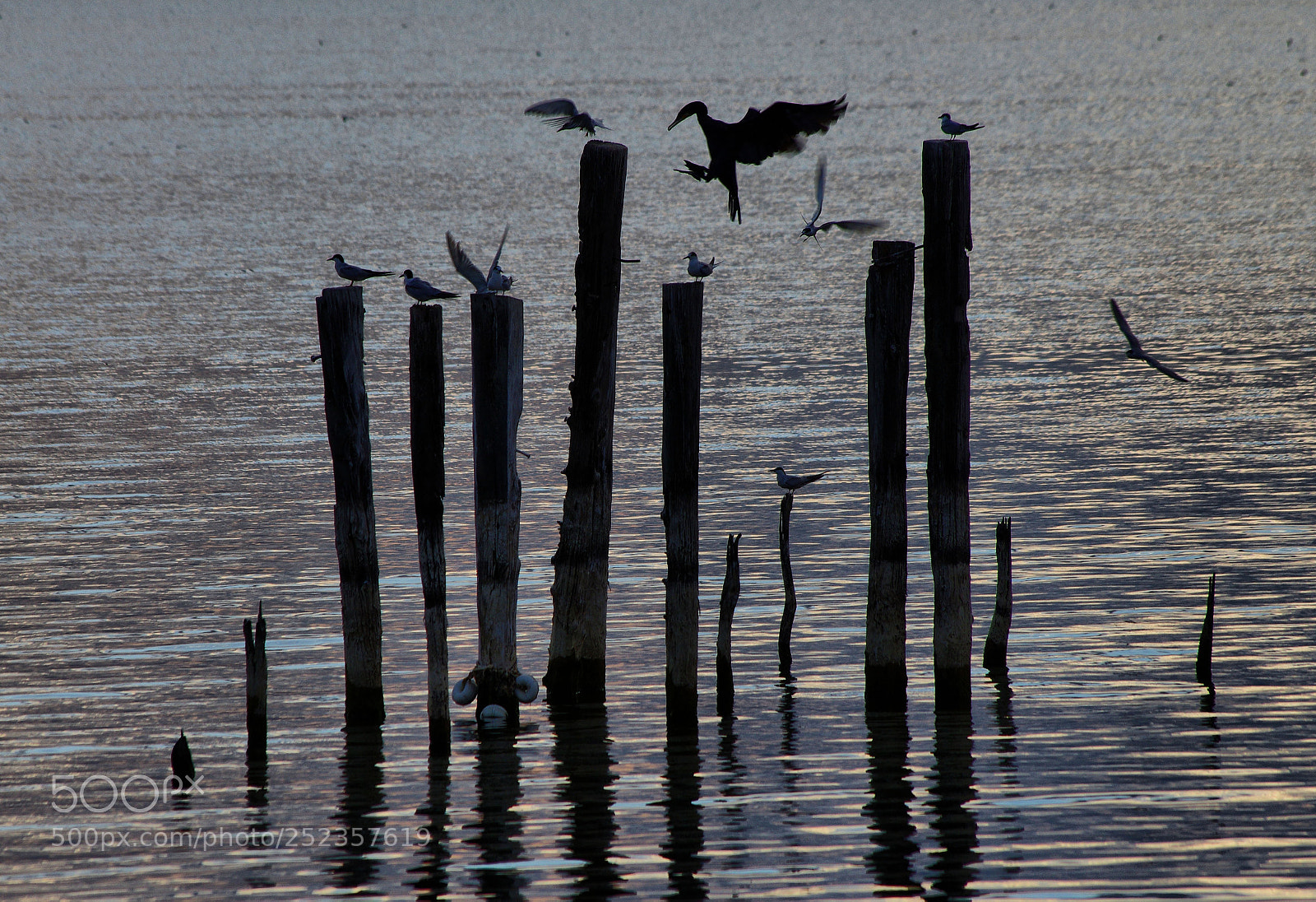 Pentax K-5 IIs sample photo. Iznik lake photography