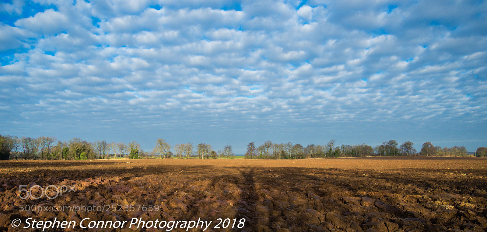 Nikon D600 sample photo. Landscape photography