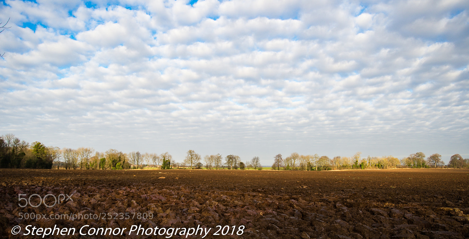 Nikon D600 sample photo. Landscape photography