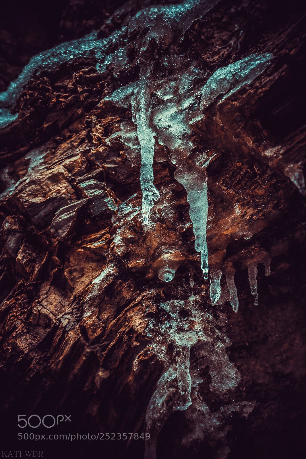 Nikon D7100 sample photo. Last ice photography