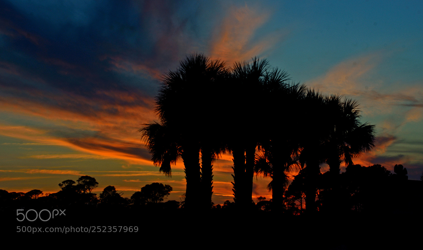 Nikon D7000 sample photo. Sunset through the palms photography