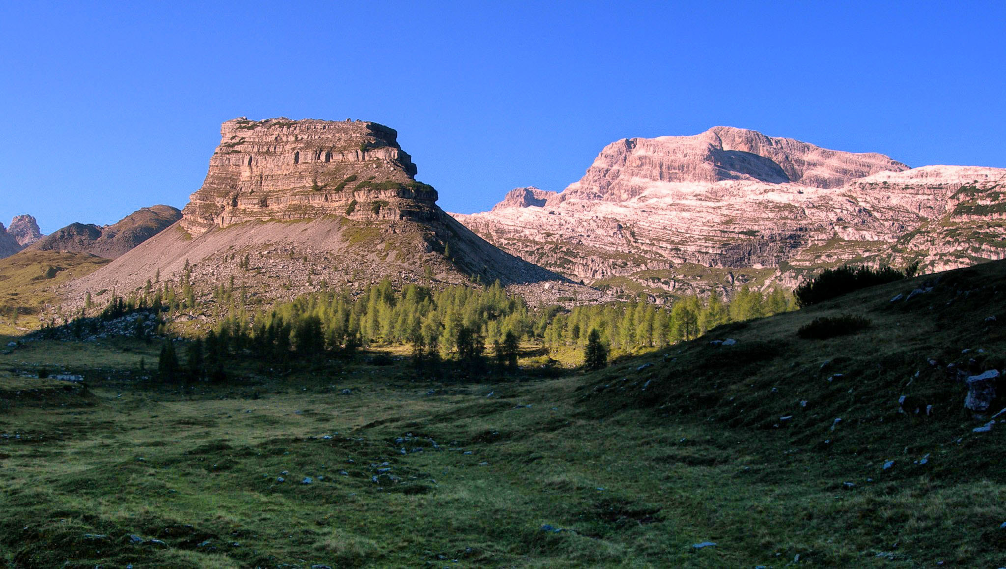 Nikon E7900 sample photo. Brenta - turion basso in s.maria di flavona photography