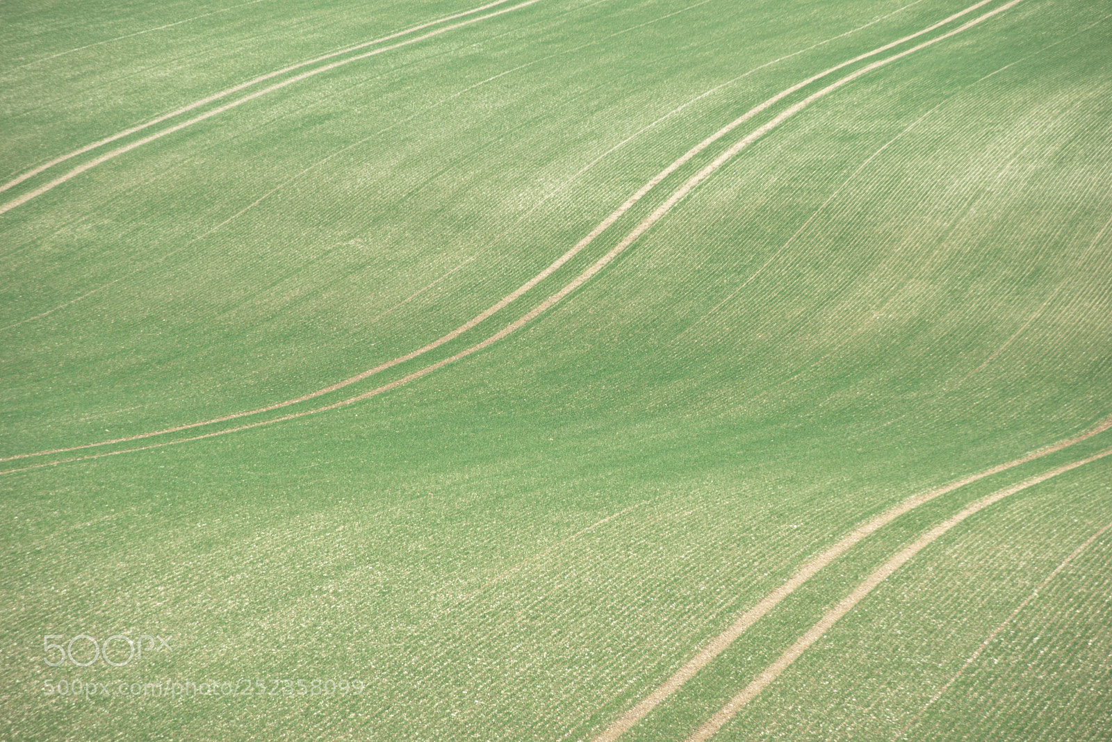 Nikon D810 sample photo. Ivinghoe beacon photography