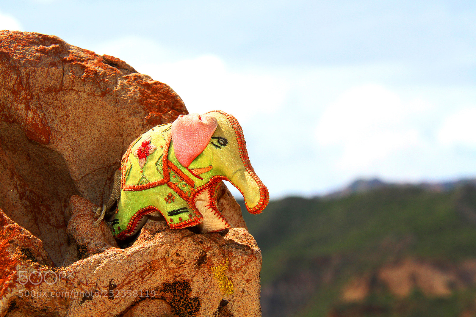 Canon EOS 7D sample photo. Un elefante en los photography