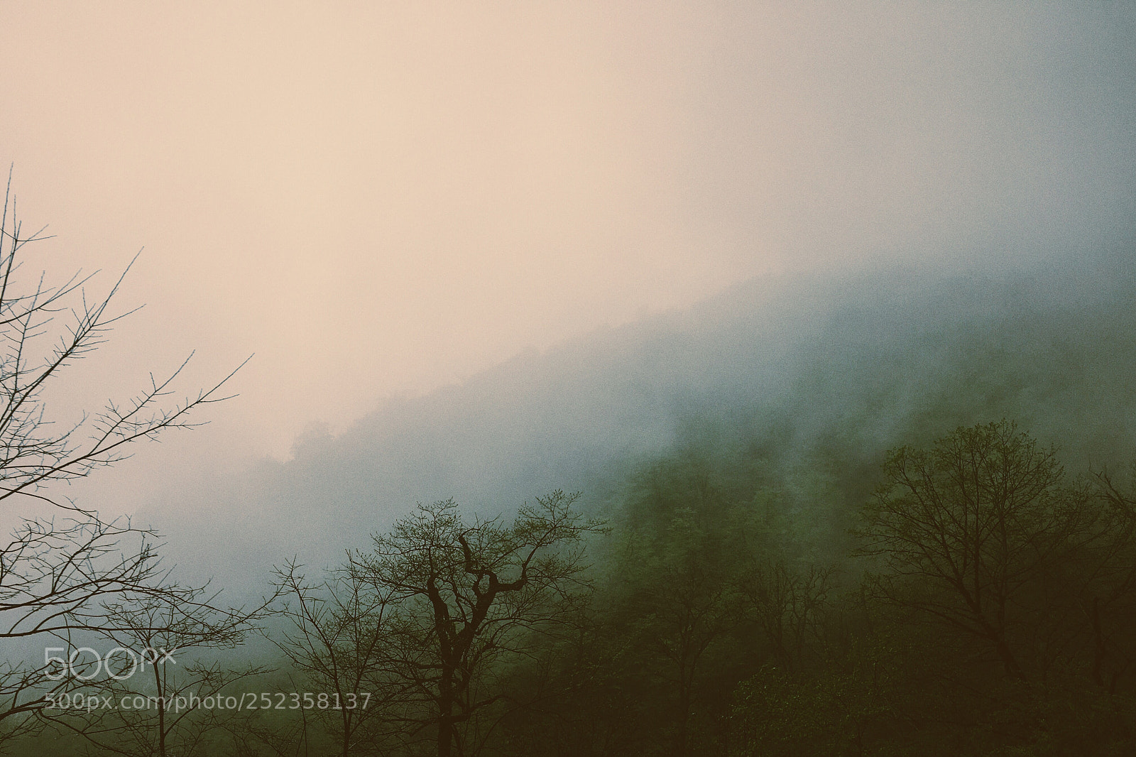 Apple iPhone 6s sample photo. Peaceful fog photography