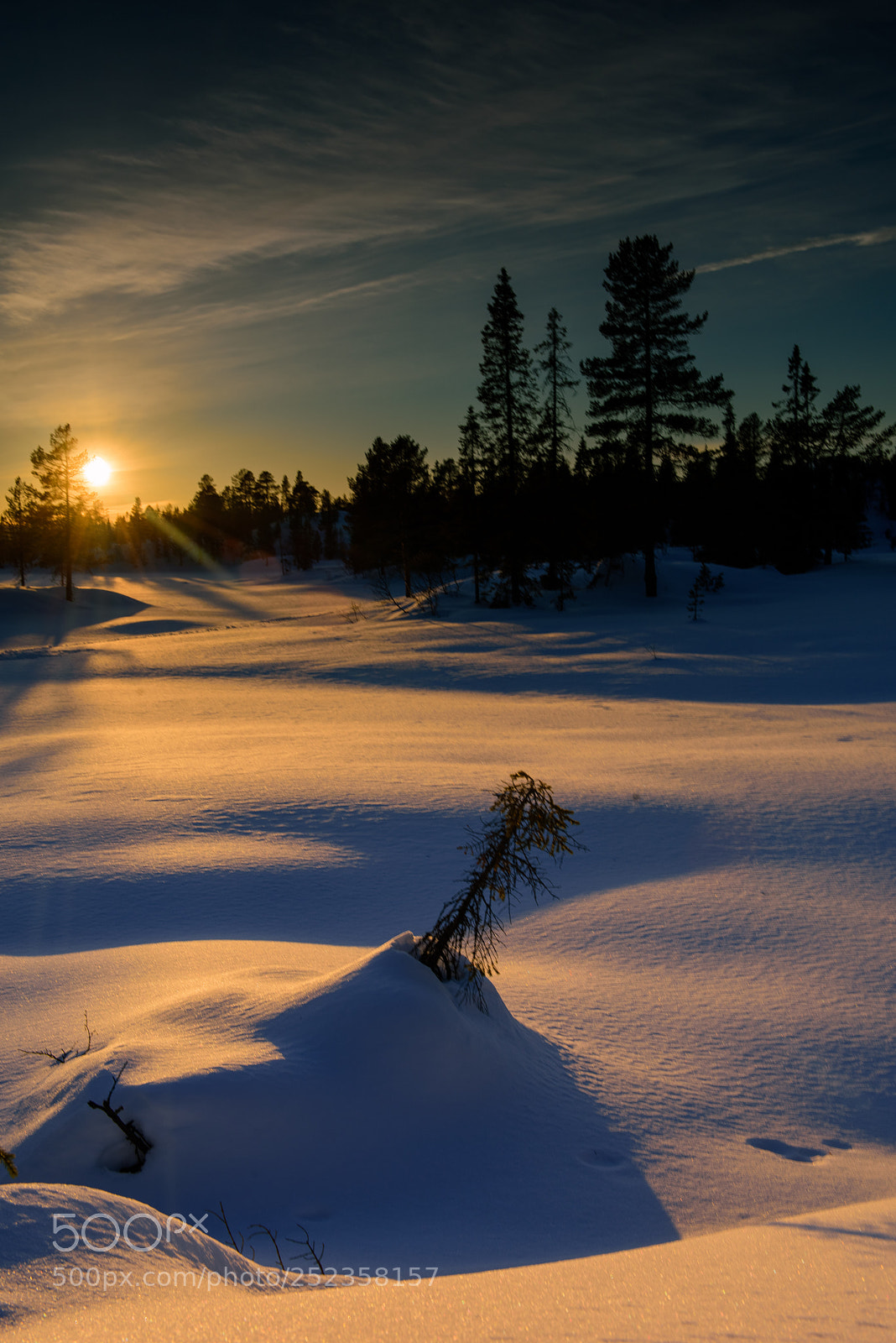 Nikon D810 sample photo. Øyfjell photography