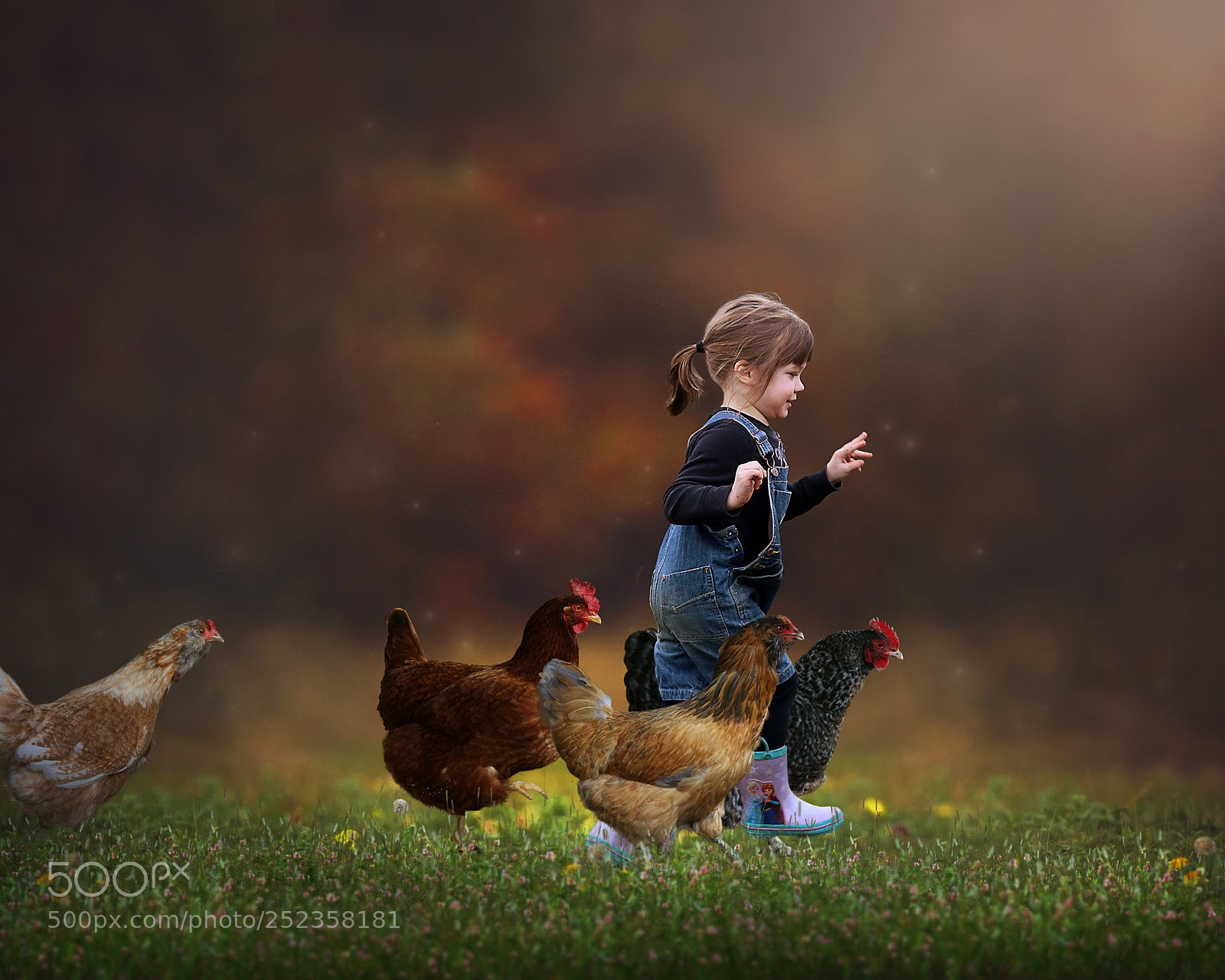 Nikon D3S sample photo. Amanda's chickens photography