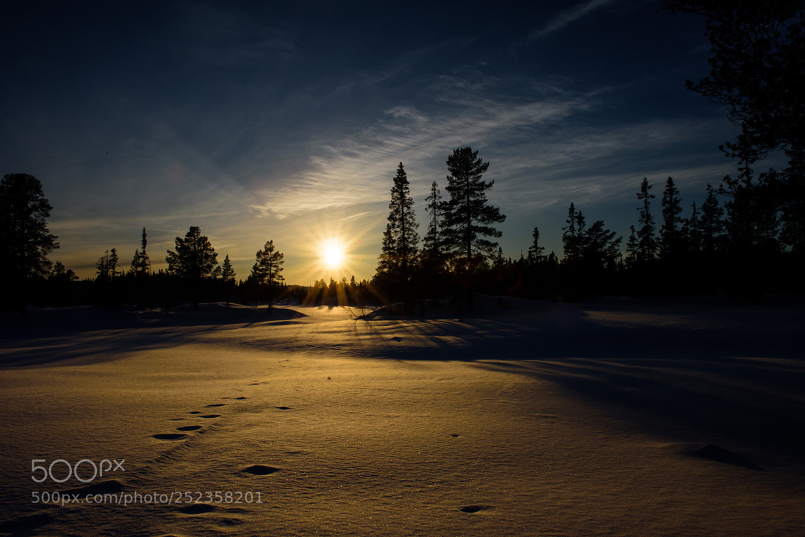 Nikon D810 sample photo. Øyfjell photography